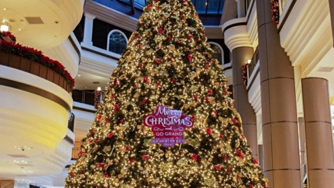 2019 Global Christmas tree attractions total inventory! 2019全球聖誕樹景點總盤點！