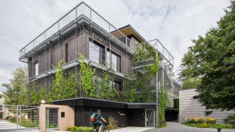 Snøhetta wraps timber office in plant-covered suspended metal frame｜Snøhetta將木材辦公室包裹在植物覆蓋的懸浮金屬框架中