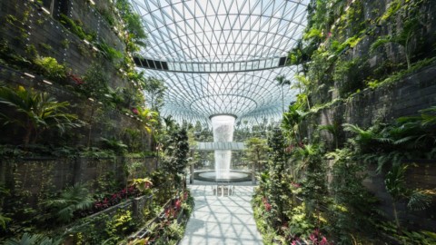 Video offers glimpse inside Safdie Architects’ Jewel Changi Airport｜視頻提供了Safdie Architects的珠寶樟宜機場內部的一瞥